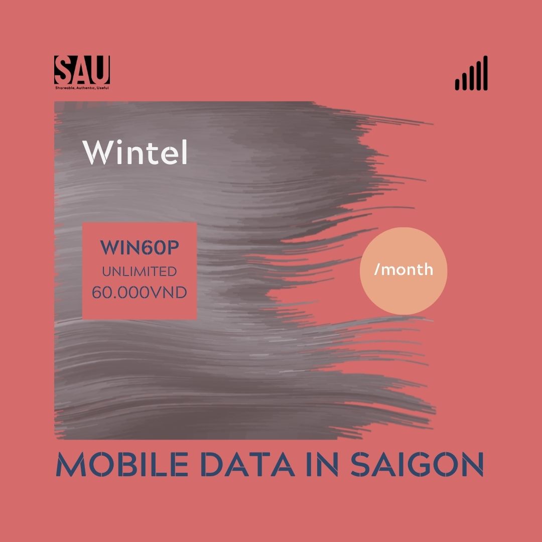 Mobile Data in Ho Chi Minh City: Wintel