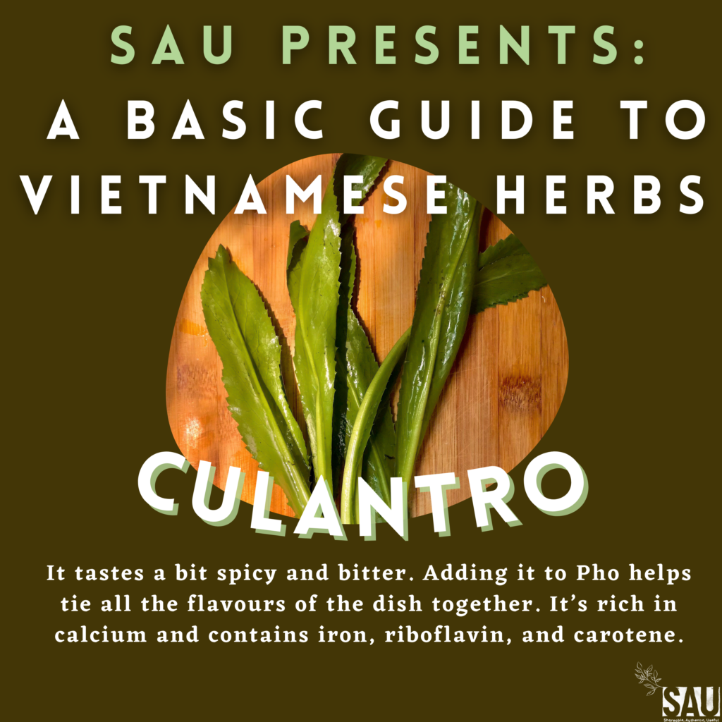 SAU Presents A Basic Guide to Vietnamese Herbs